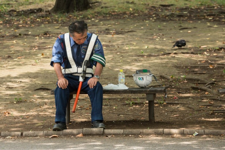 merlin_141681393_68826f6e-f46a-4292-a9d8-25c7978e998f-jumbo